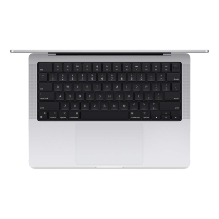 Apple MacBook Pro 14" (M4 Max 14C CPU, 32C GPU, 2024) 36/1Tb SSD (MX2G3) Silver, серебристый